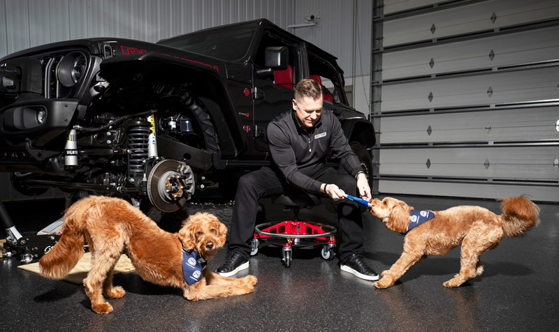 Stellantis Launches Mopaw Pet Accessories for Vehicle Owners